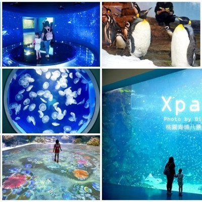 【桃園青埔】Xpark八景島水族館．必逛重點、門票、交通、停車資訊!