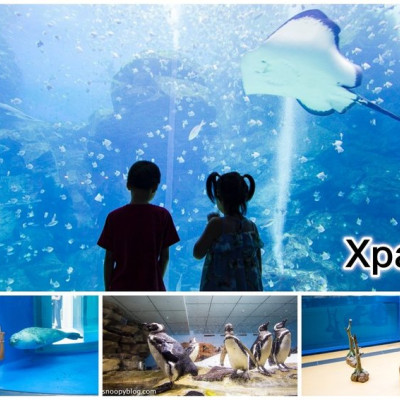 【桃園親子景點】Xpark水族館～現場購票、門票預購｜交通資訊，日本橫濱八景島水族館台來打造台灣首座新都會型水生公園、企鵝咖啡廳