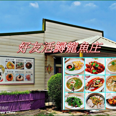 《苗栗美食》CP值高客家美食/北部大飯店主廚回鄉的手藝/大推筍干焢肉及鮮魚料理/假日坐遊覽車出遊的經典美食『好友活鱘龍魚庄 』