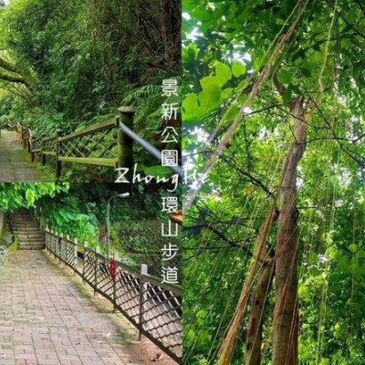 看樹在下雨︱中和景新公園環山步道