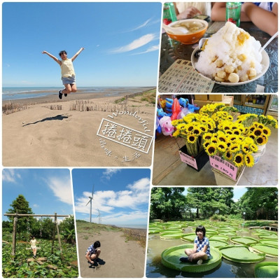 桃園景點⎮桃園一日遊推薦⎮向日葵迷宫、大王蓮體驗X水上蓮花鞦韆、IG打卡迷你版撒哈拉！