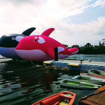 【旅遊】台南「安平虎鯨亮晶鯨-ORCA GO」！虎鯨放閃 美食、水上樂園樂翻天