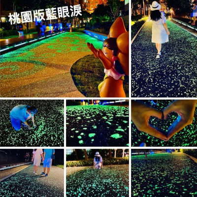 桃園最新約會景點|桃林鐵馬道星光步道|桃園版藍眼淚|走入阿凡達奇幻場景|桃園百萬夜景環保公園