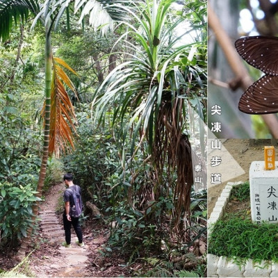 【泰山步道】尖凍山步道‧尖凍山基石‧遠看高速公路跟高樓‧喜歡步道的叢林林蔭！