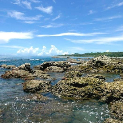 台東親子景點【富山漁業資源保育區】帶孩子探索海洋世界，看見難得一見的生物，觀賞美麗的自然生態，用海藻饅頭餵食海中生物，來場親密互動喔！