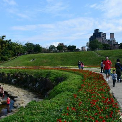 大溝溪生態治水園區~花海.親水.野餐.散步好去處