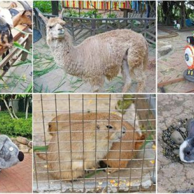  【桃園景點】羊世界牧場-有如一座小型動物園，還可以餵羊的好玩親子景點