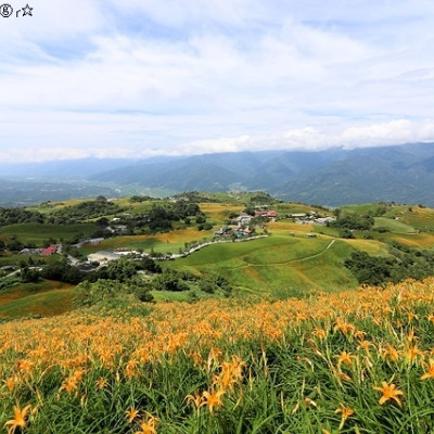 2020夏戀花蓮第二天｜玉里新興街燒餅店｜六十石山金針花海｜964驛站｜台灣小瑞士｜2020赤科山金針花海｜赤柯山小瑞士農場｜赤科山林家園休閒農場｜小和山谷｜花蓮福品旅店｜東大門夜市｜原醉（東大門原住