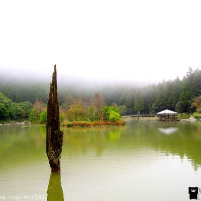 【宜蘭。大同】北橫明珠。明池國家森林遊樂區。明池山莊