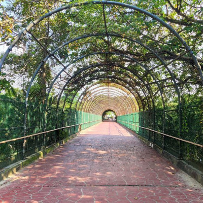 大溪埔頂公園-桃園大溪/全新升級版遊戲場.散步野餐親子共遊好去處 - 潔絲蜜愛生活