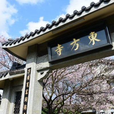 城市賞櫻微旅行.東方寺好櫻情~滿開的花兒及藍天讓東方寺美炸了