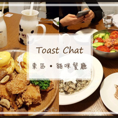 【大安  國父紀念館】Toast Chat ➤ 台北不限時咖啡廳／東區貓咪餐廳～貓奴們與貓咪一起用餐吧！豐富早午餐等你來品嚐！