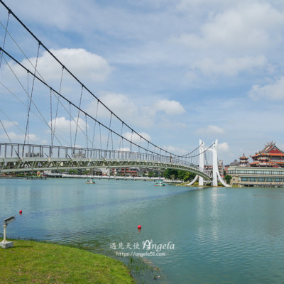 龍潭大池變身美麗公園 新吊橋.天鵝船遊湖.市民休閒好去處! - 遇見天使~Angela