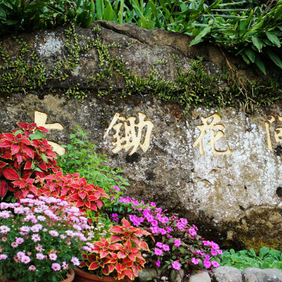 (食-台南東山) 大鋤花間咖啡生態農場 Dachu Coffee Estate / 咖啡自家烘焙可觀景聊天放空的咖啡館