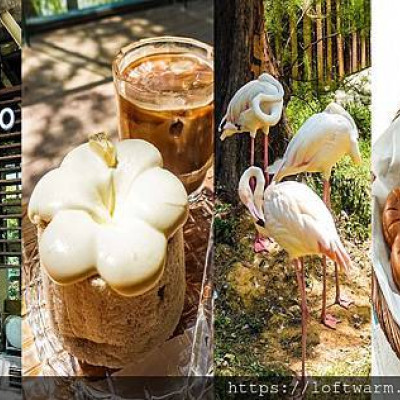 新竹景點一日遊 窩客島食旅在地分享 新竹動物園x森林食堂x春室x星巴克x巨城購物中心行程建議...