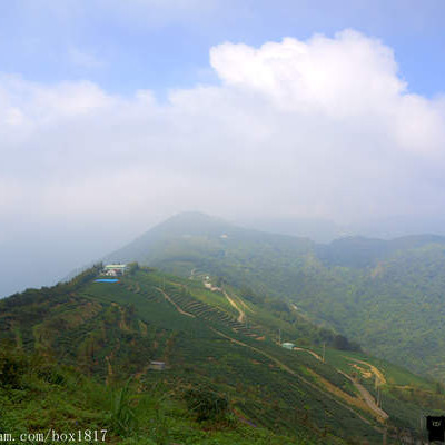 【南投。仁愛】武界開心茶園。VOKAI武界部落。雲海。露營。品茗。茶園風光。視野遼闊。世外桃源