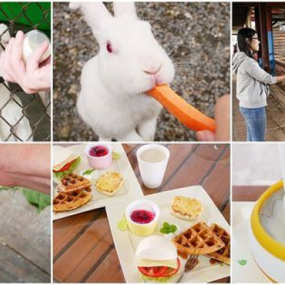 可達羊場 - 宜蘭員山親子旅遊景點，入園無低消，不止可以動手餵養小動物，還能親自擠羊奶品嚐，離開前別忘了品嘗羊奶下午茶