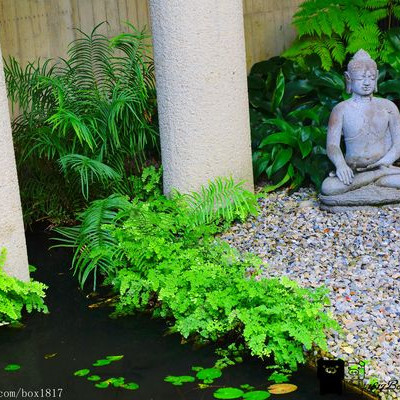 【台中。大里】當代清水模建築。大里菩薩寺。城市中的綠建築