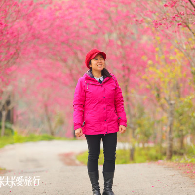 宜蘭賞櫻-浪漫台七線櫻花林秘境媲美日本賞櫻-棲蘭達漾咖啡後方 - 卡夫卡愛旅行