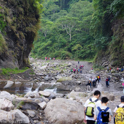 【苗栗。泰安】明知山有虎。偏向虎山行。苗栗泰安虎山步道。水雲吊橋。泰安溫泉停車場。虎山登山記