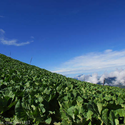 【南投。仁愛】華崗部落。被夏天遺忘的絕世秘境。遺世獨立的世外桃源。小瑞士華崗。柔腸寸斷力行產業道路