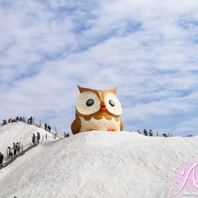 【台南旅遊】七股鹽山。雪地上出現超萌巨大貓頭鷹！陪大家一起過年 - ANIKO 艾妮可美味人生