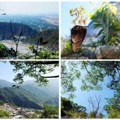 【高雄。茂林】姿沙里沙里步道。紫斑蝶群飛舞。茂林國家風景區賞蝶