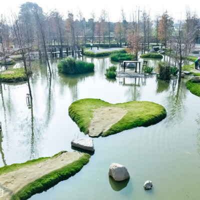 雲林景點 一日遊免費參觀「澄霖沉香味道森林館」，網美打卡景點，適合親子出遊，有愛心池的日式生態庭園。