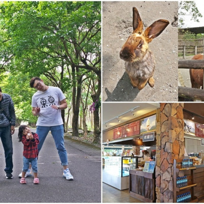 【花蓮景點】超大占地,不用人擠人,親子旅遊推薦,新光兆豐休閒農場,體驗可愛小動物餵食互動