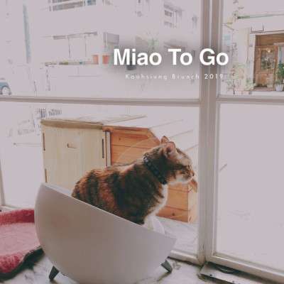 高雄前金｜外帶一隻貓Miao To GO