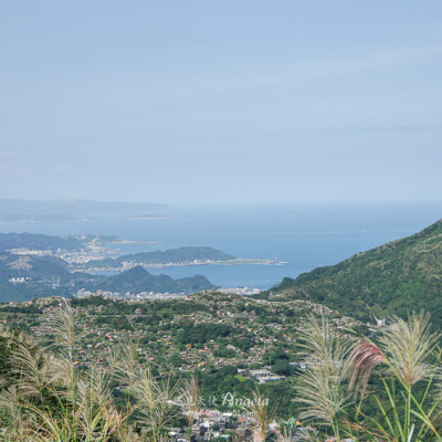 滿山芒草無敵海景與神祕石陣，金瓜石地質公園秋天正美!