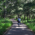 台東森林公園照片