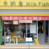 牛奶魚 Milk fish照片