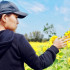 新屋花海農業休閒園區照片