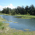 台東森林公園 琵琶湖照片