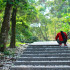 荷苞山油桐花公園照片