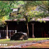 禪與松休閒養生會館；禪之園(特色民宿)(南投縣民宿279號) ；松之園(特色民宿)(南投縣民宿260號)照片