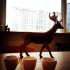 伴鹿咖啡 DeerFriend Café照片