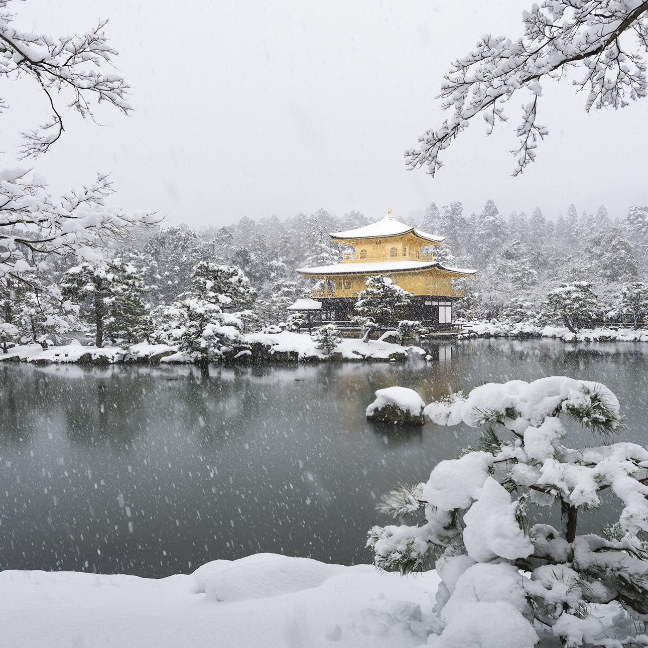 雪の京都散策 一睹銀白雪景中的優雅京都 浪漫踏賞古都3大冬美景 Taipeiwalker Japanwalker Walkerland