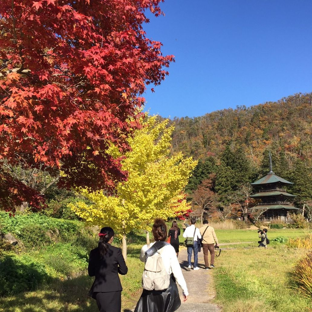 走訪陸奧童話街道 二 楓紅滿山頭 秋日限定賞景趣 紅葉散策景點特搜 Taipeiwalker Japanwalker Walkerland