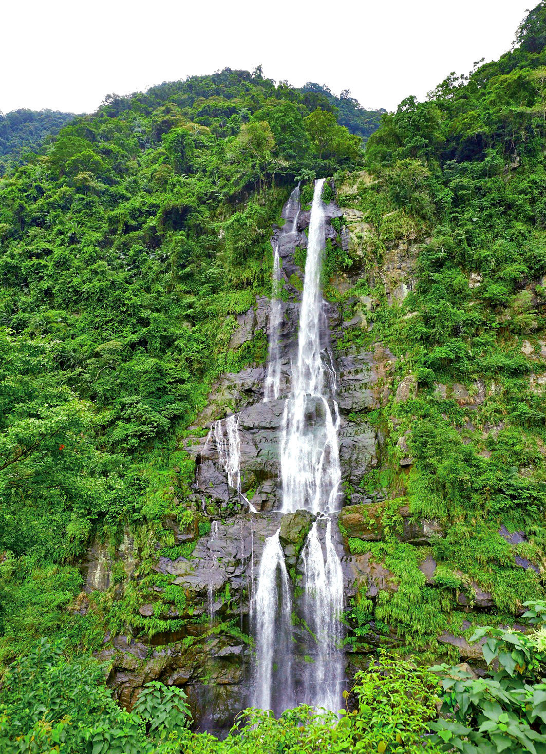 烏來泡湯賞美景，漫步老街最愜意